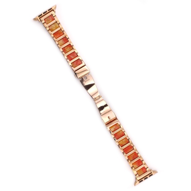 Apple Watch Resin and Steel Bracelet - Mireya